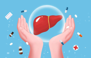 Liver-Health-In-Traditional-Medicine3